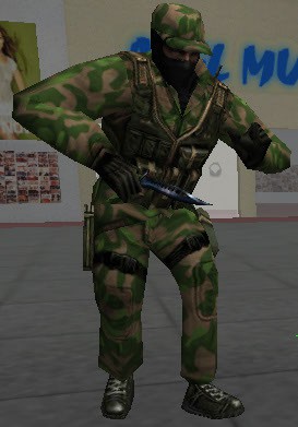 CT GIGN